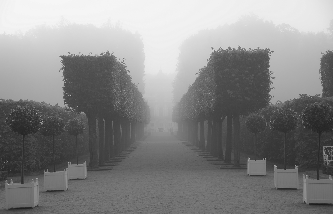 Екатерининский парк туманная аллея