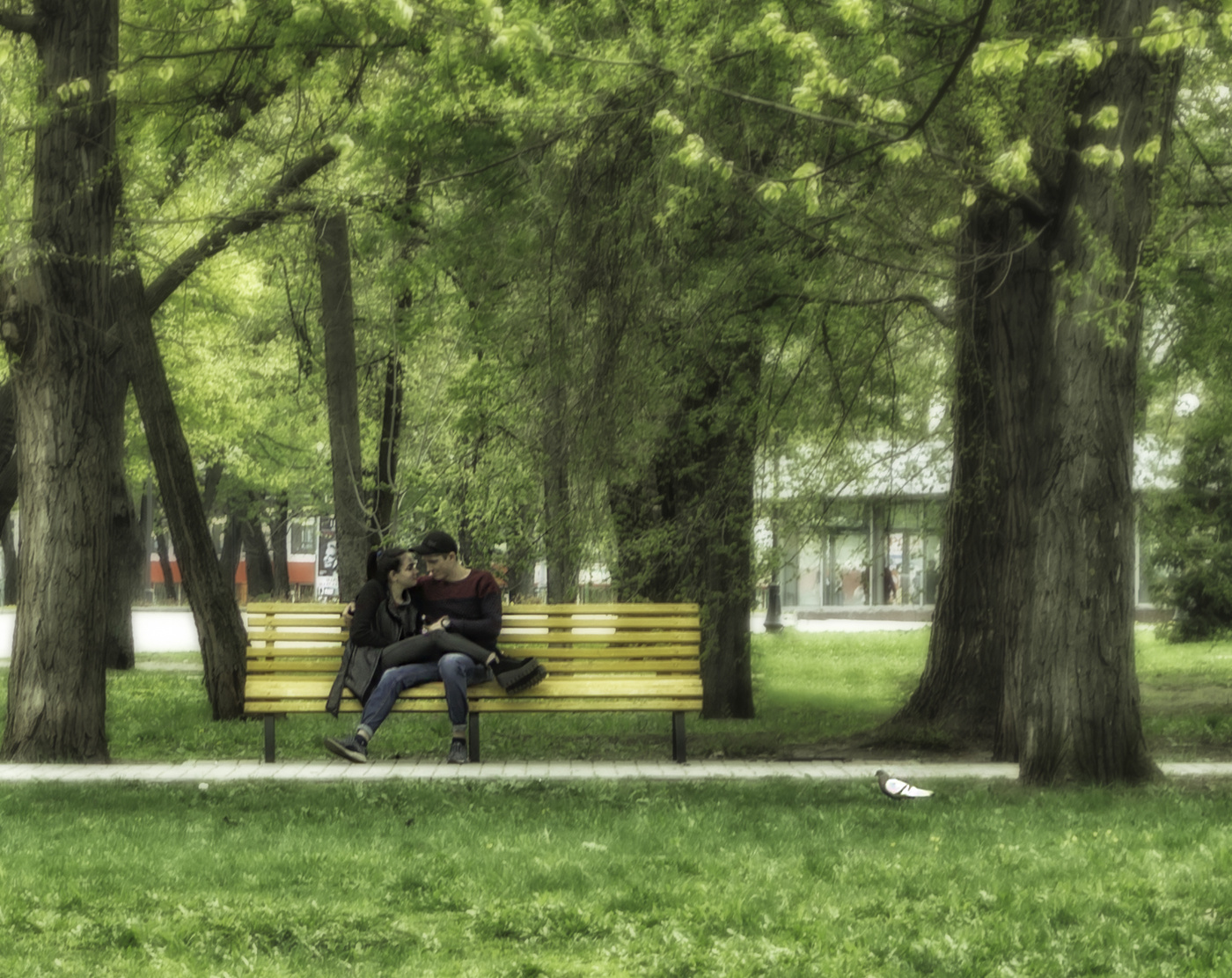 Люди поставили в парке скамейки и деревья
