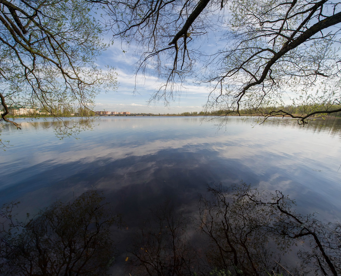 Река алексея