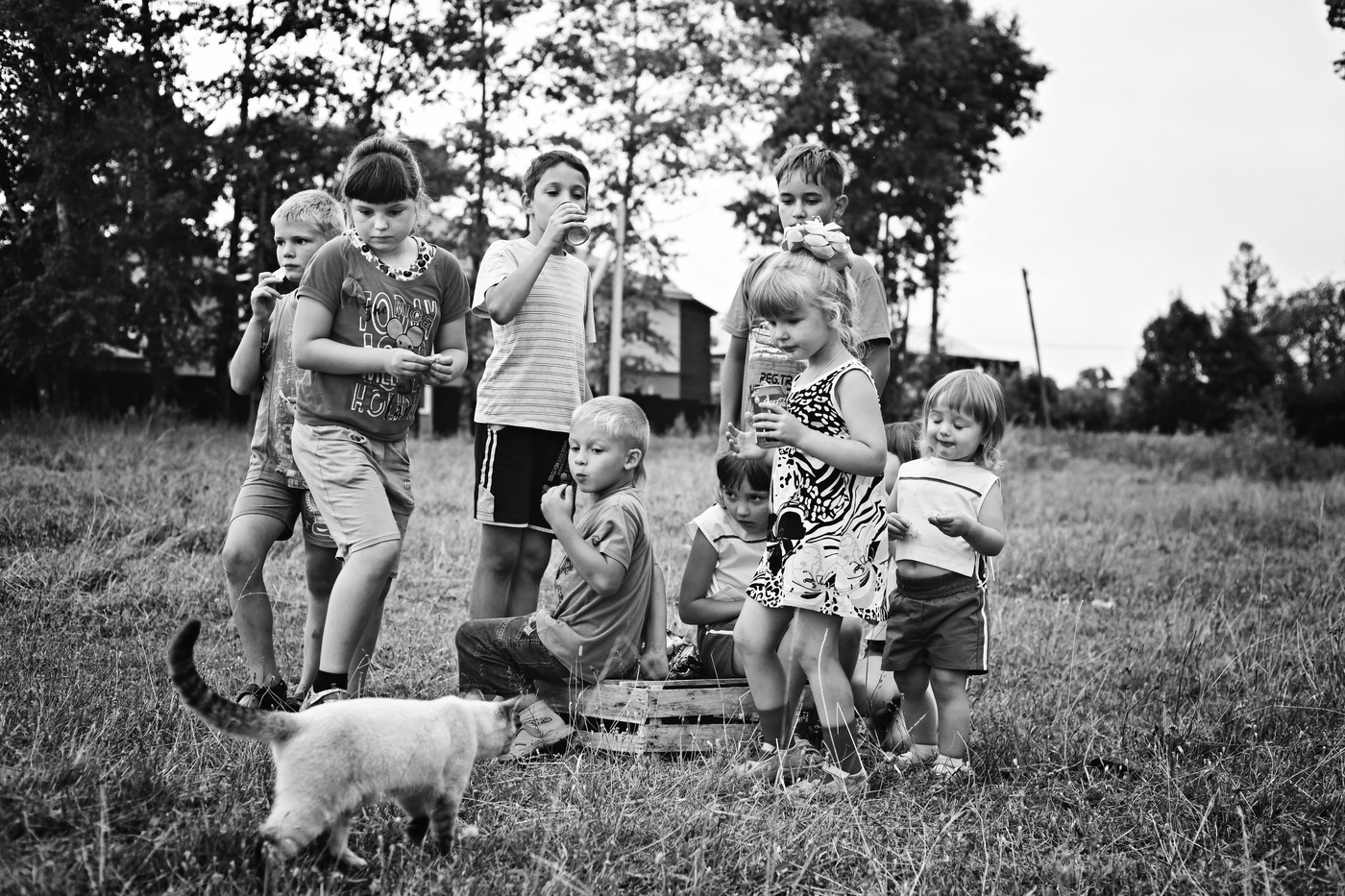 Детство в деревне летом