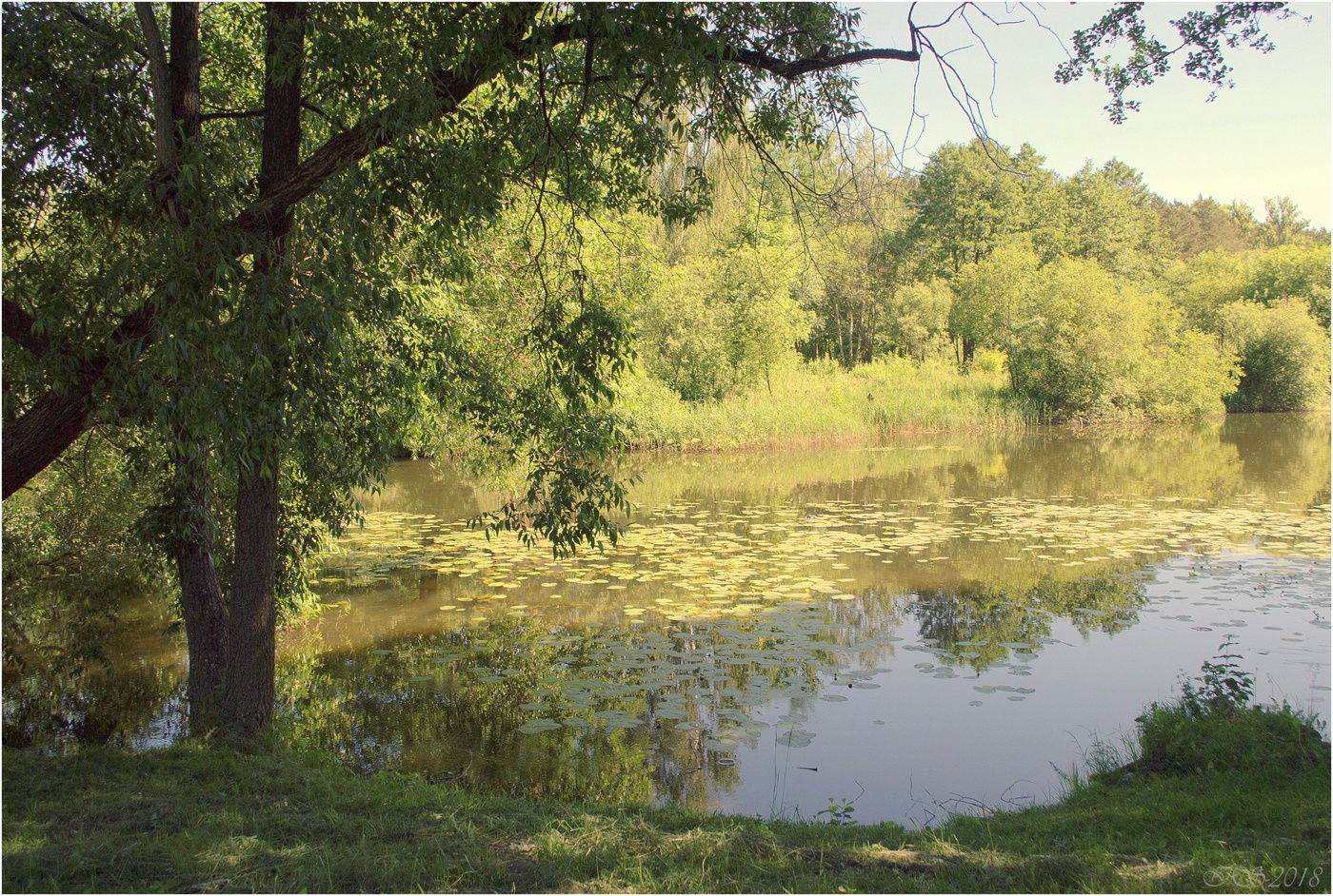 Летний полдень картинки