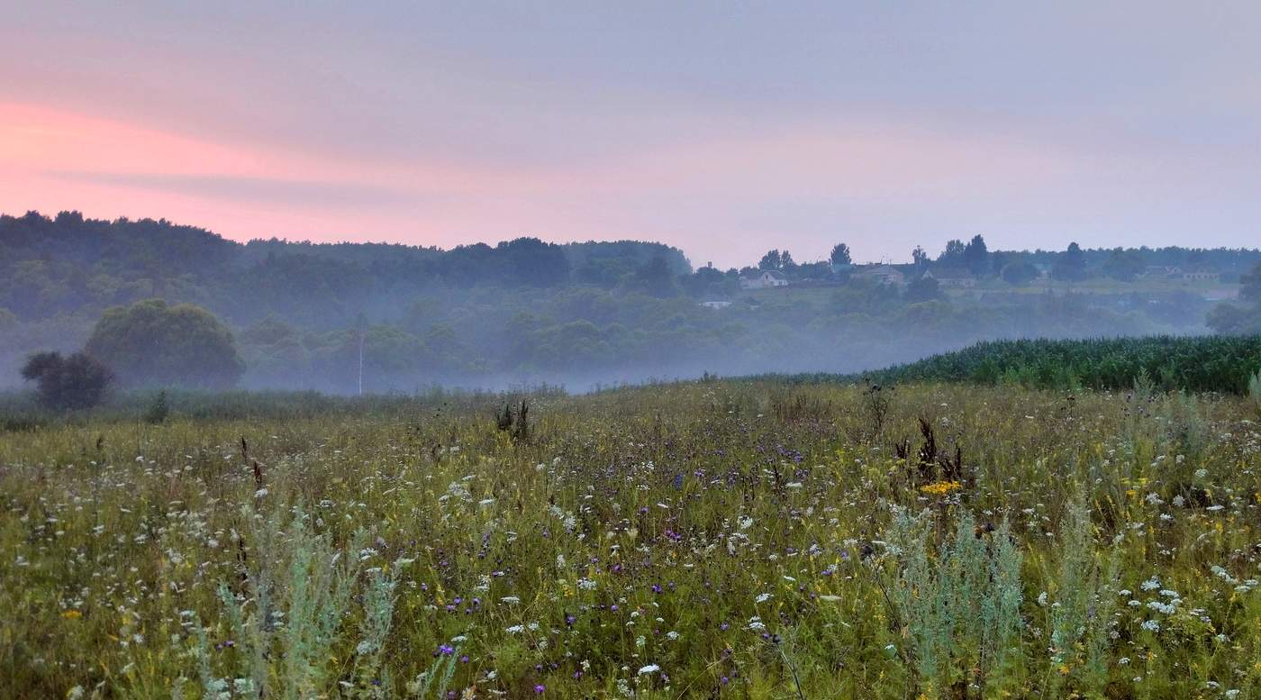 Село спала. Заря в деревне. Деревня в тумане. Деревня на косогоре. Деревня окутанная туманом.