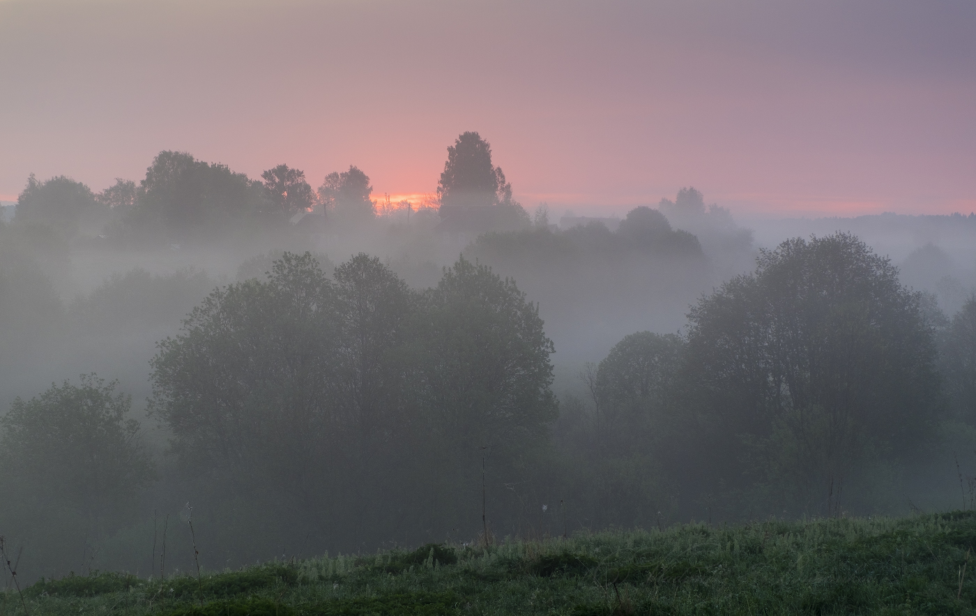 Утренний туман в деревне