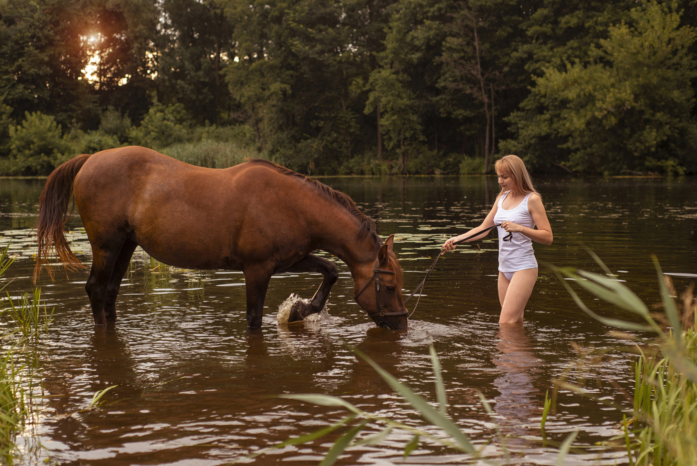Лошадь около воды
