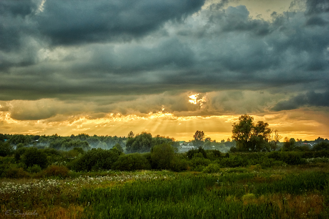 Поле перед грозой фото