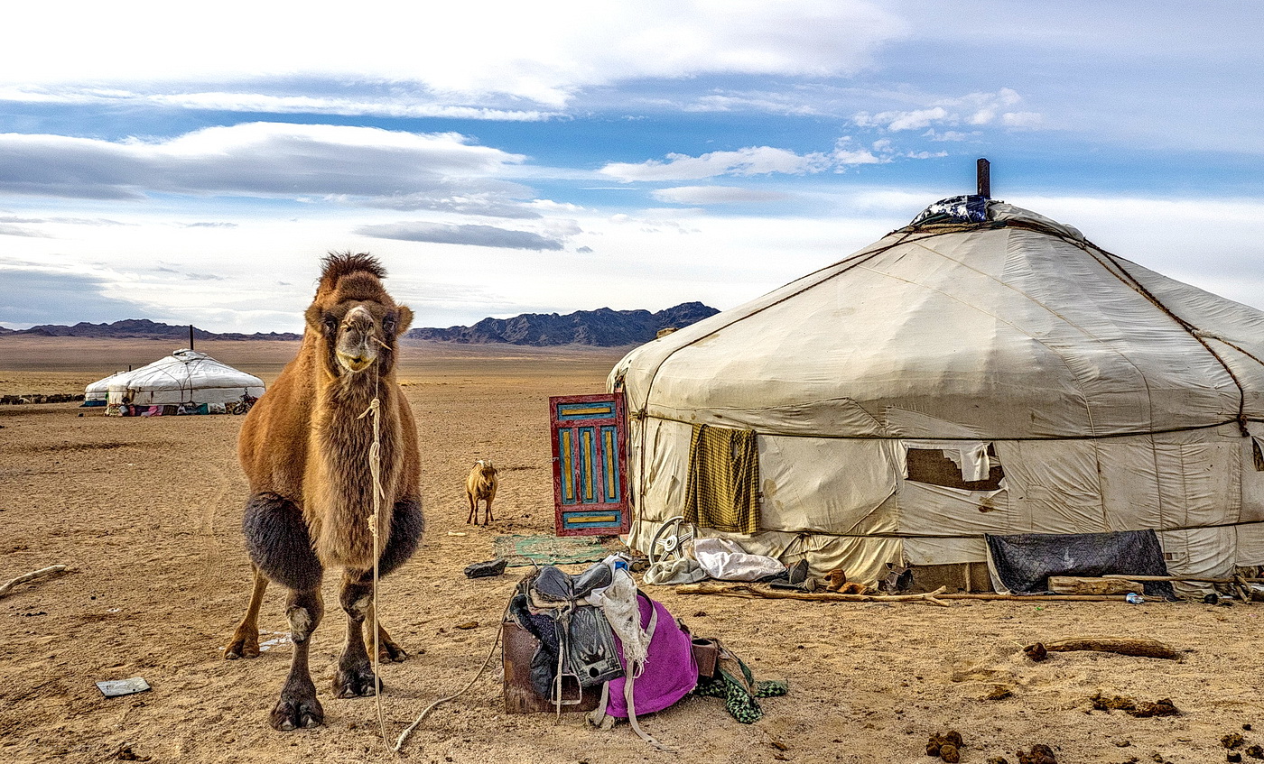 Монголия кочевники юрта