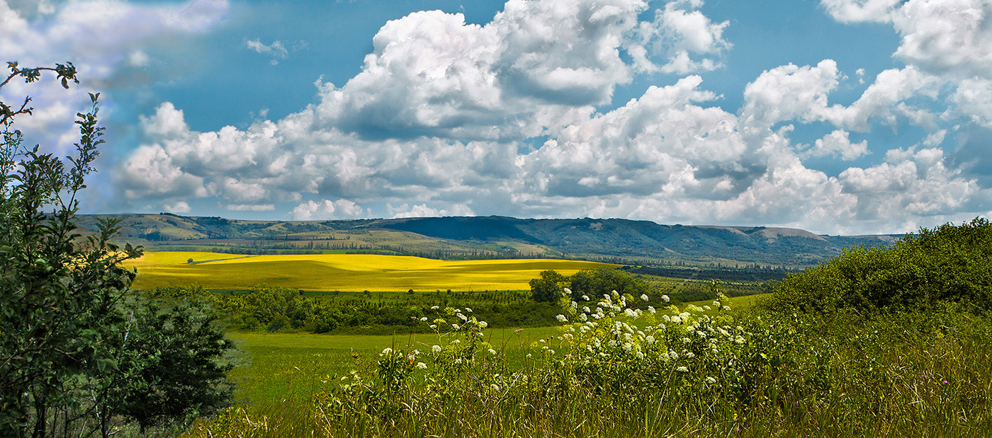 Степь крыма фото