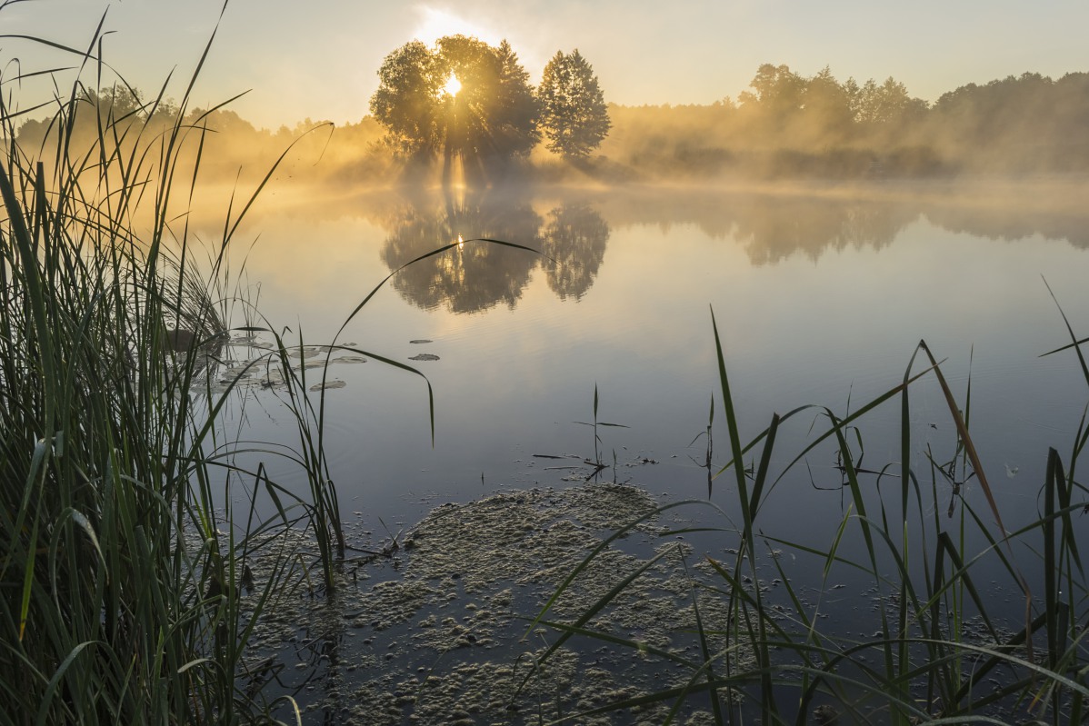 Утро на реке фото