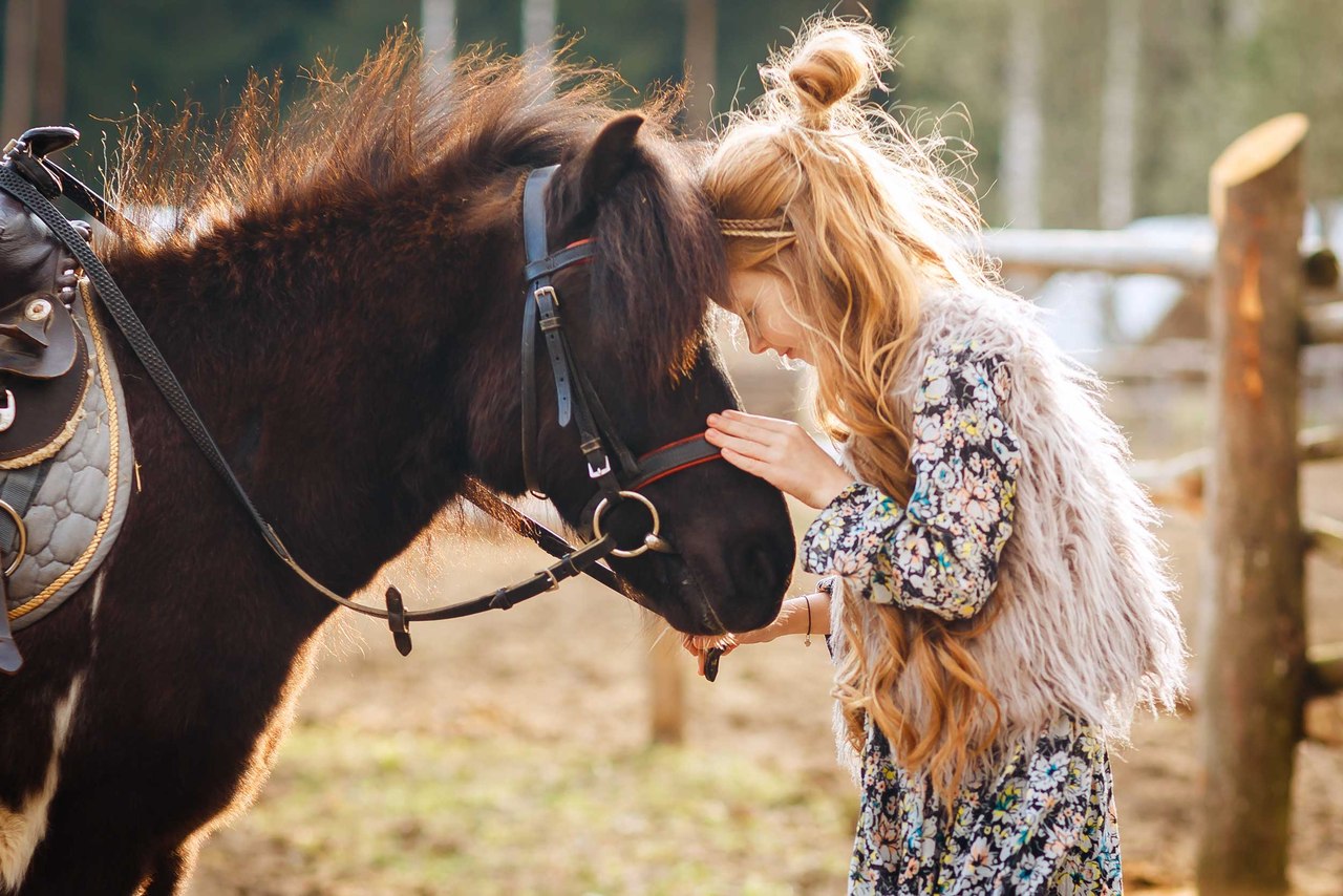 Лошадки ремикс. Фотосессия с лошадьми дети. Девушка с лошадью. Своя лошадь. Я люблю свою лошадку.