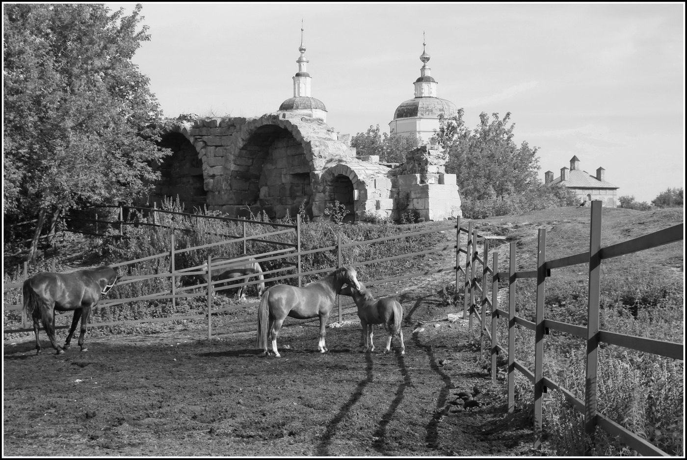 Серпухов старые фото города