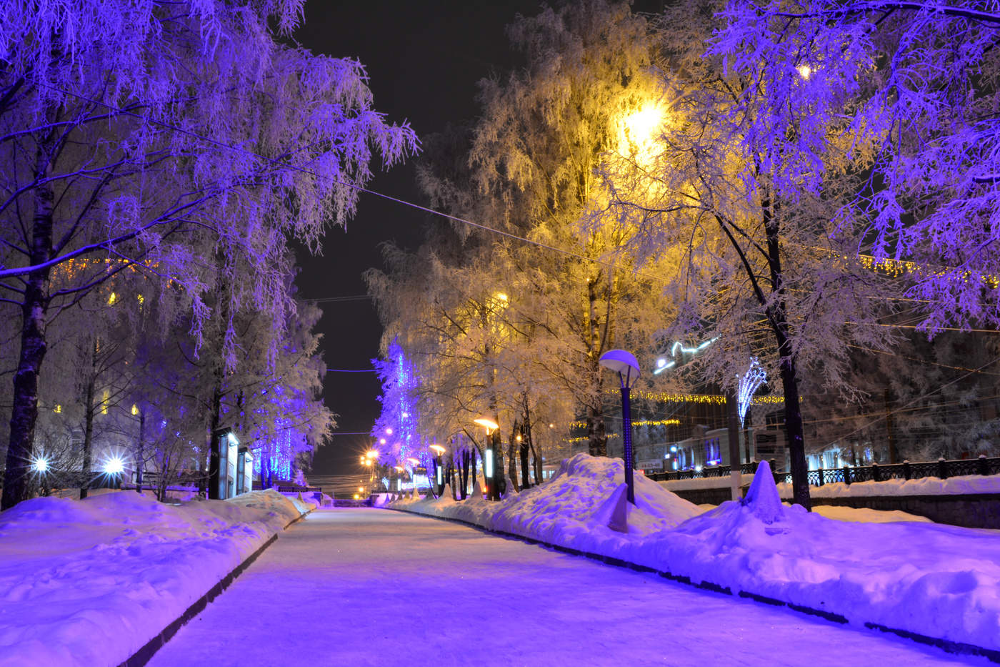 Улица Карла сквер Кирова зимой вечером