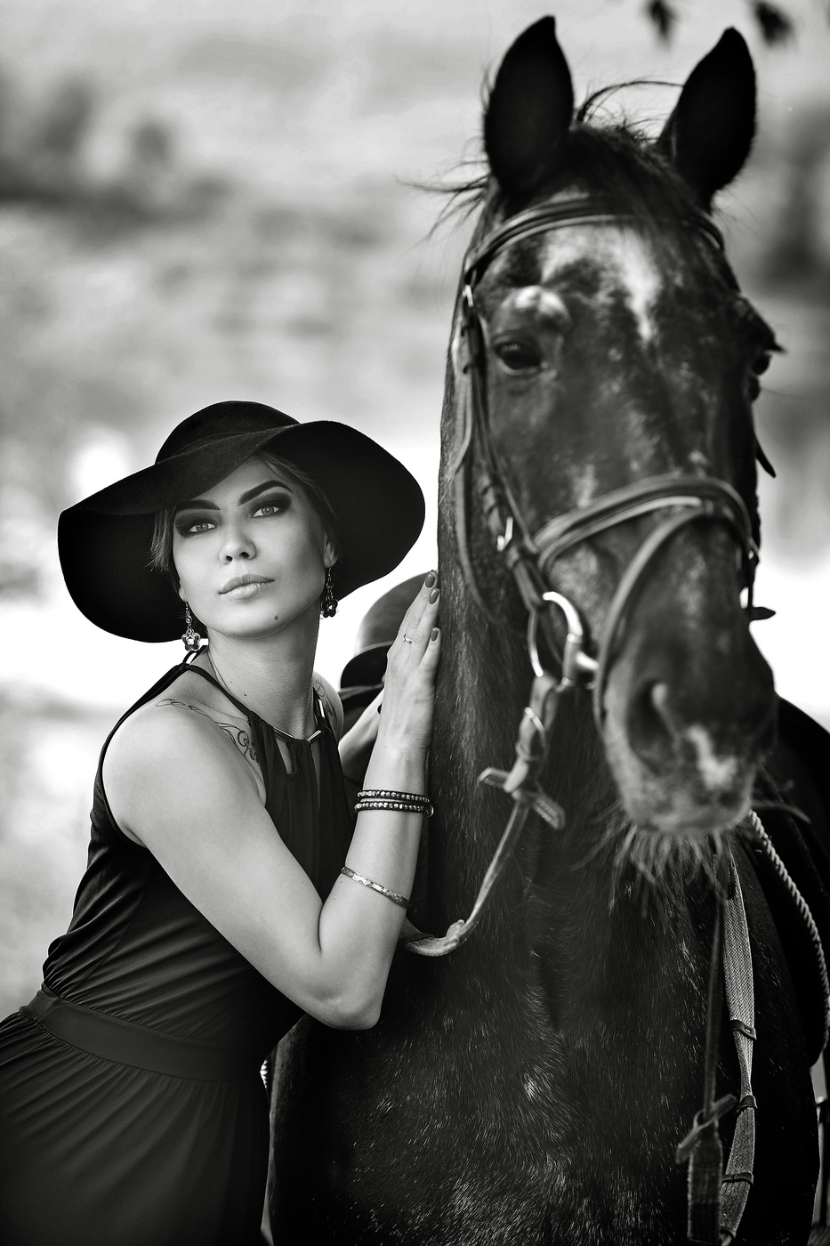 �������� ���������, ������ ����������