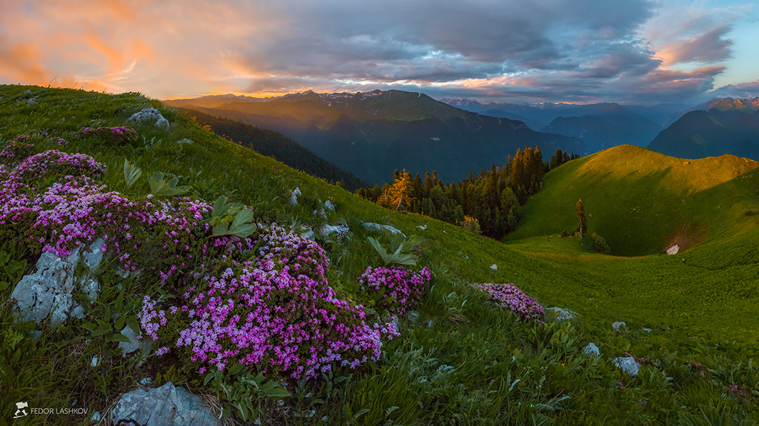 Фото альпийские луга абхазия фото