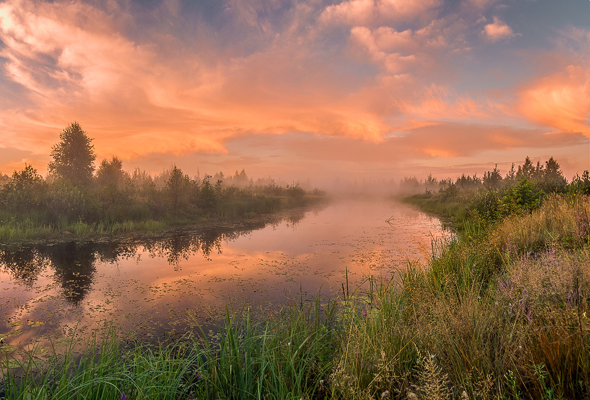 Белорусское полесье фото