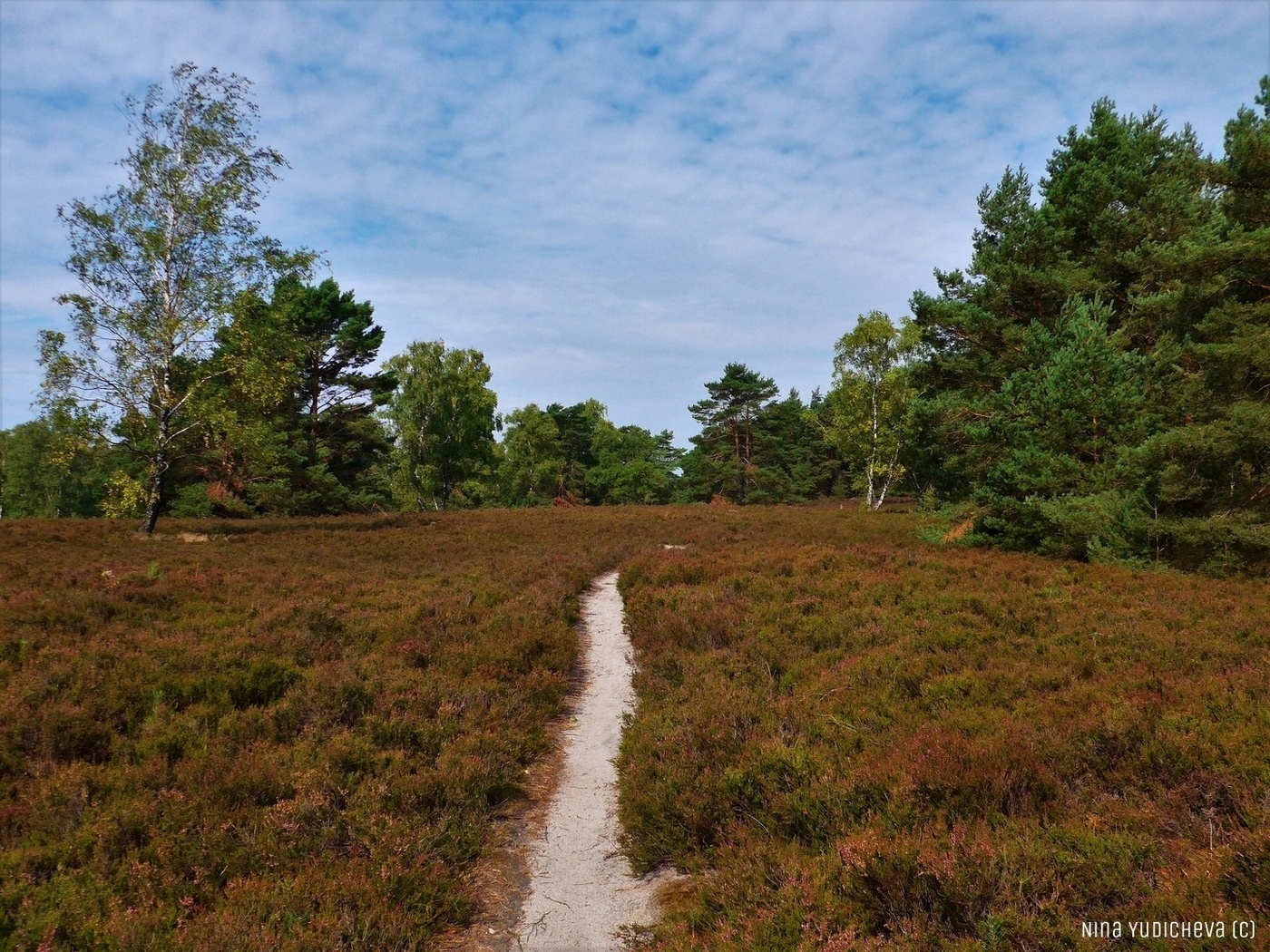 парк шмелевский ручей. речушка. сухореченский каньон крым. небольшая местами пересыхающая летом речушка. долина реки очаковки.