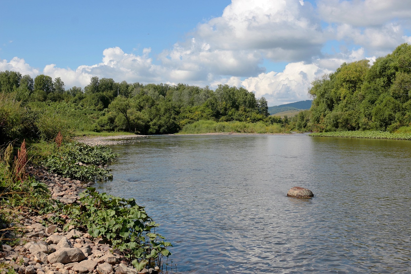 Унеси река