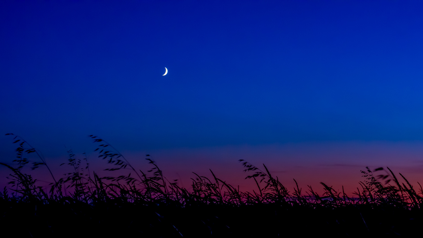 Луна над полями. Ночное поле. Ночная степь. Степь ночью. Поле ночью.