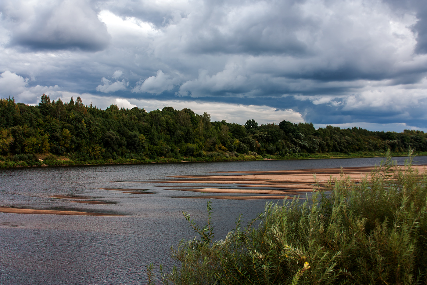 Притоки реки двины. Даугава Западная Двина. Западная Двина река. Белоруссия Западная Двина река. Река Западная Двина Беларусь.