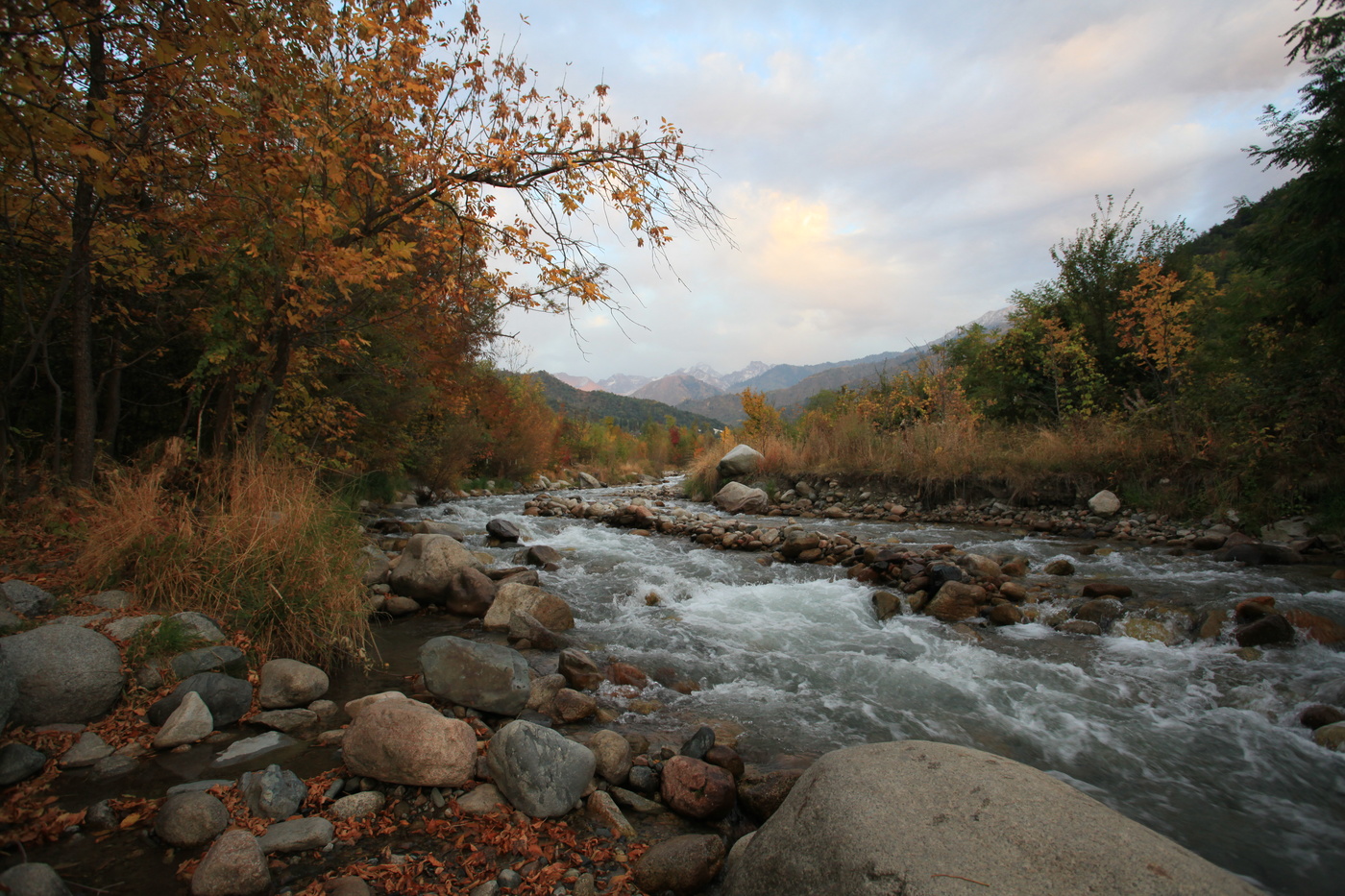 Бутаковка алматы фото