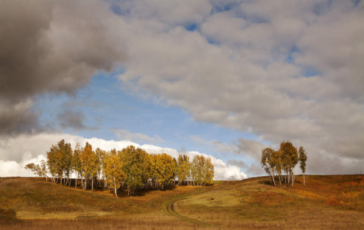 Косогор