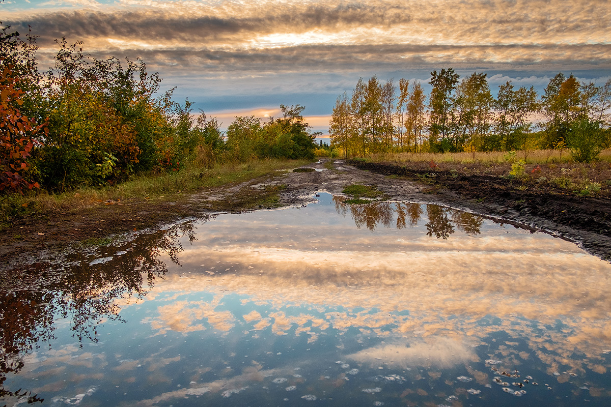 Лужа. Красивая лужа. Лужа фото. Лужи в природе лето. Лужи осень Россия природа.