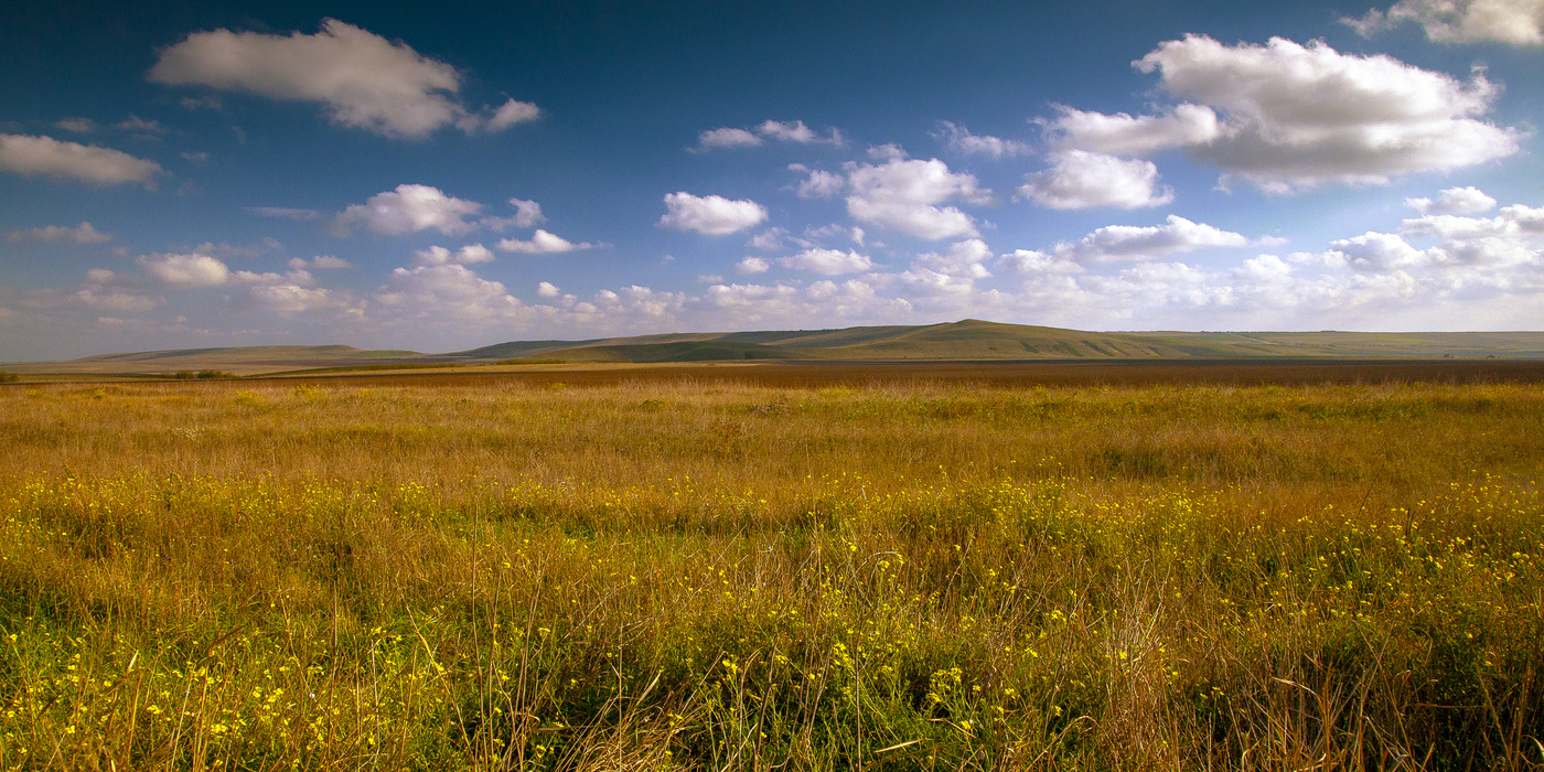 Степной Крым