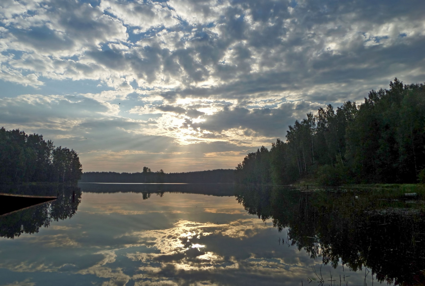 Осе нова. Вечер Осиновая роща. Осиновая роща фото лето.