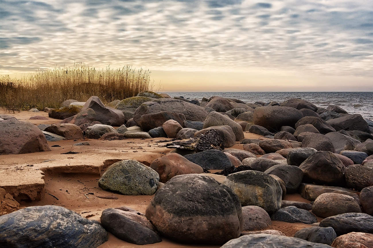 Каменистые пляжи финского залива