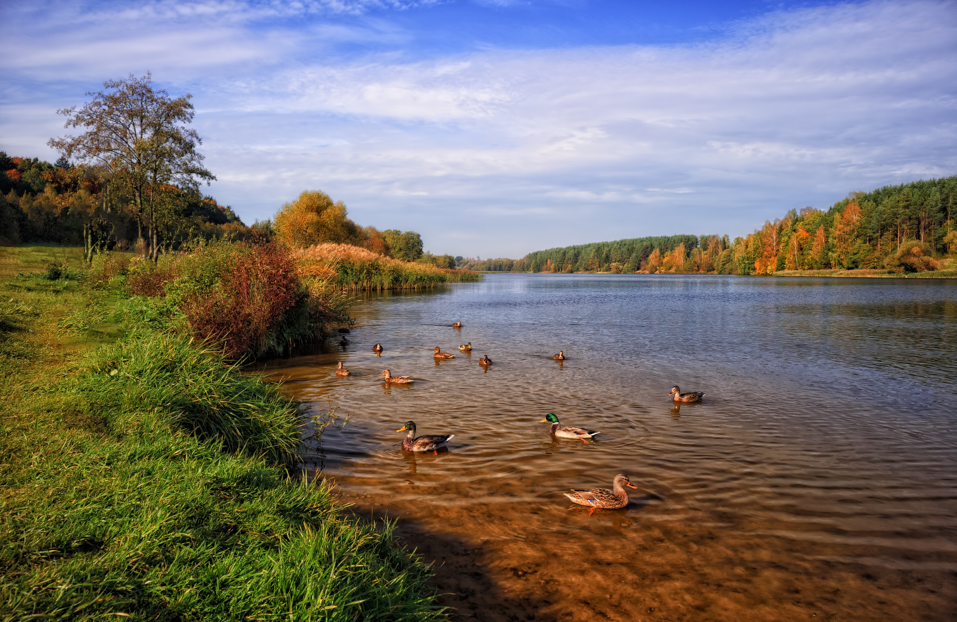 озера реки беларуси