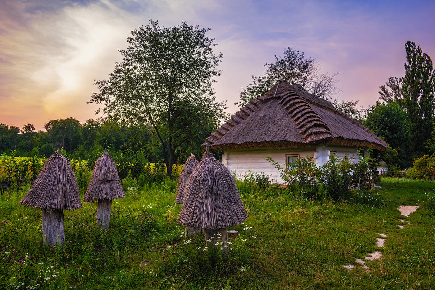 Пирогово улица. Парк Пирогово Киев. Пирогово Украина музей. Деревня Пирогово Киев. В Киеве этнографический музей.