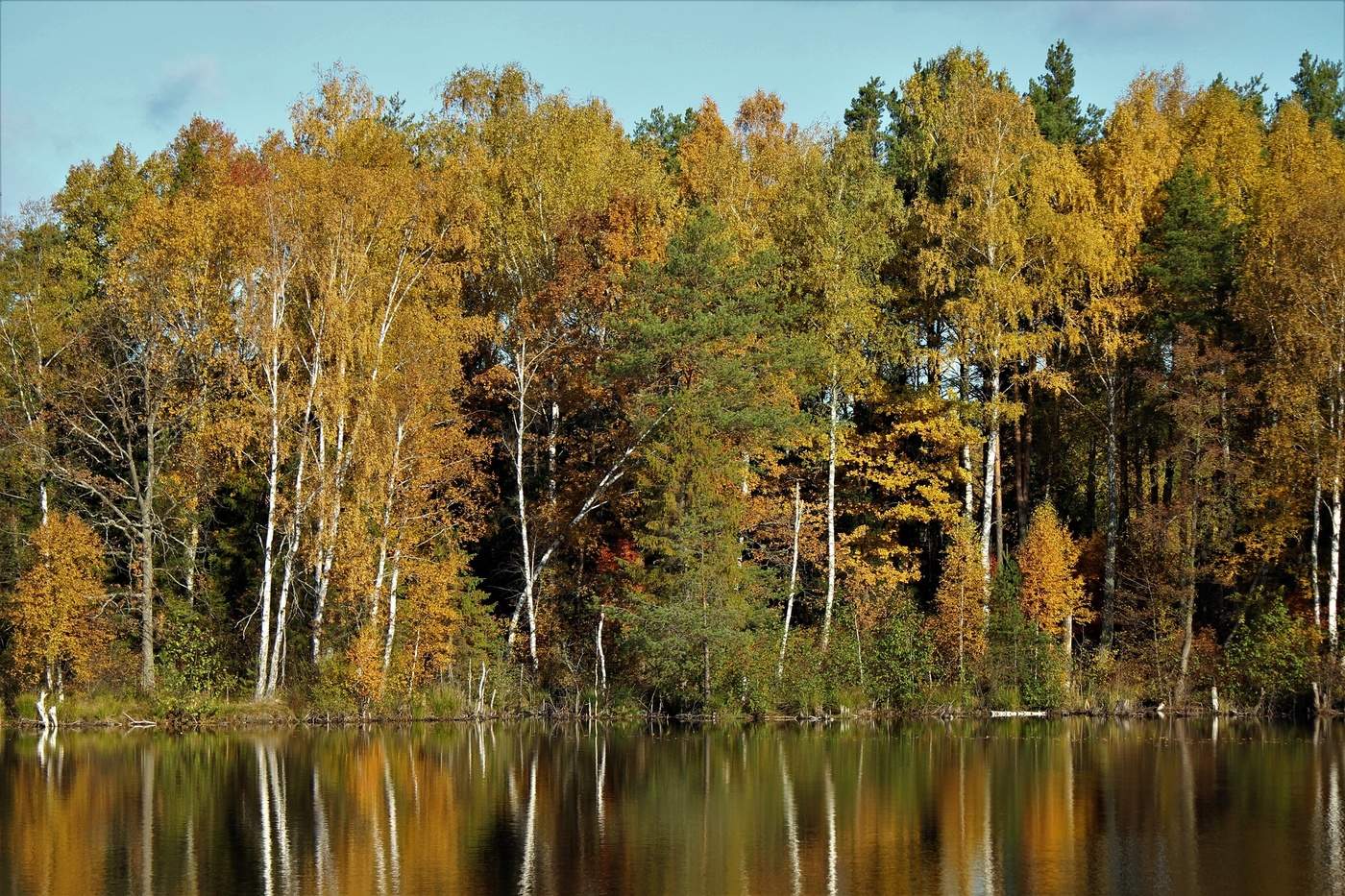 Оранжевое озеро Подмосковье