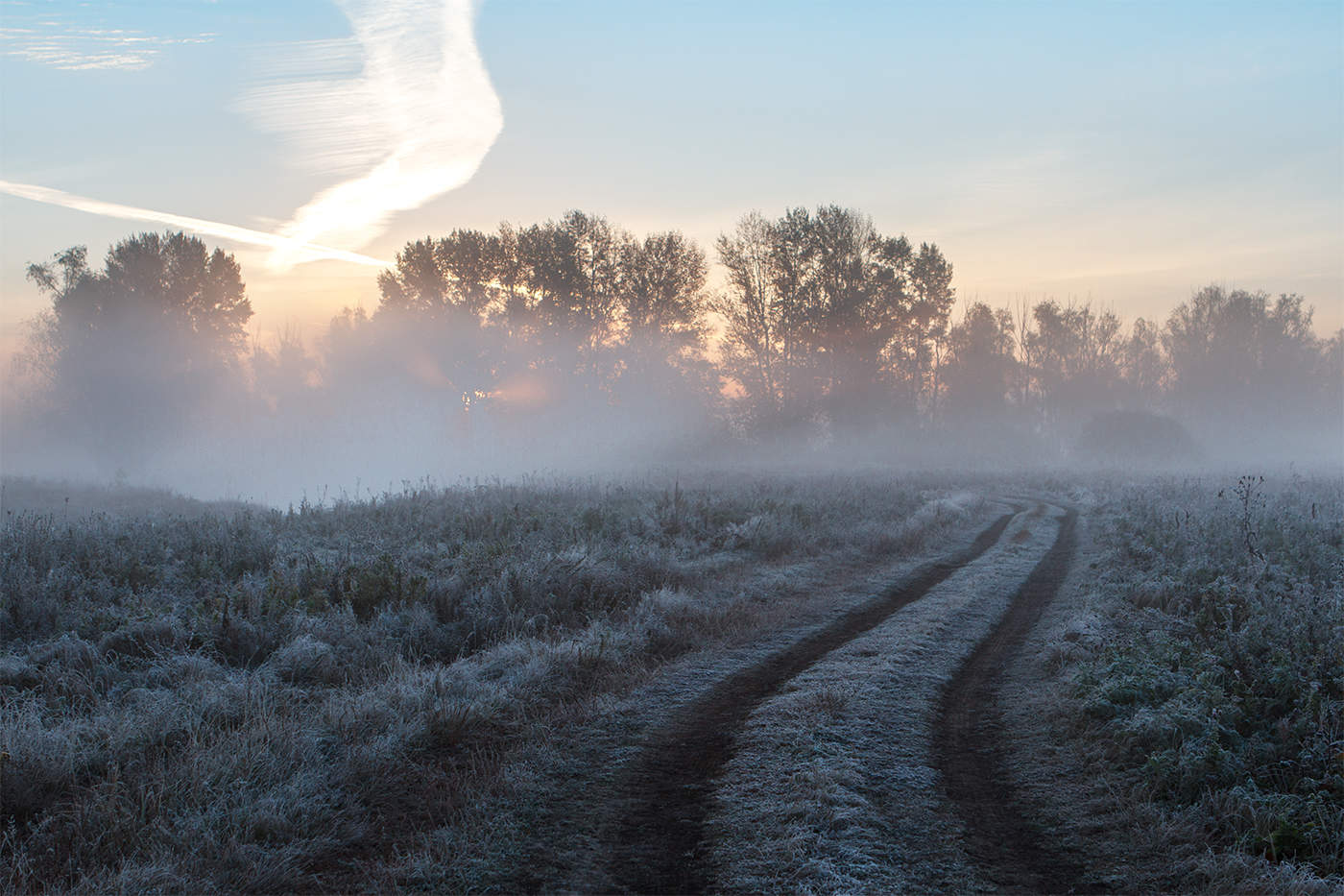 Ночью в Курской области прогнозируют туман и заморозки