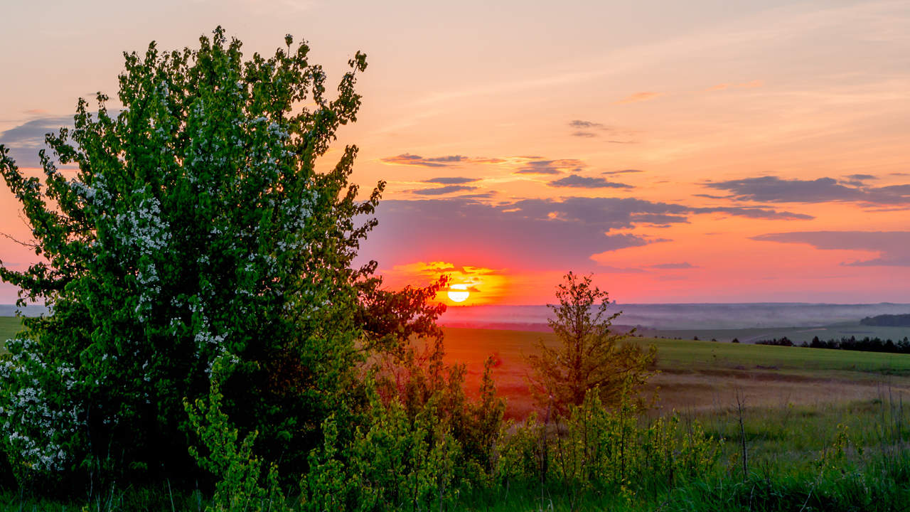 Майский закат картинки