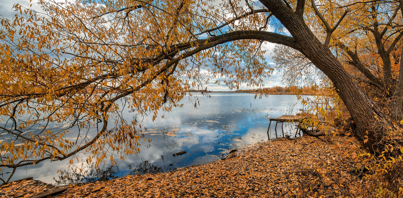 Жмуркина заводь фото