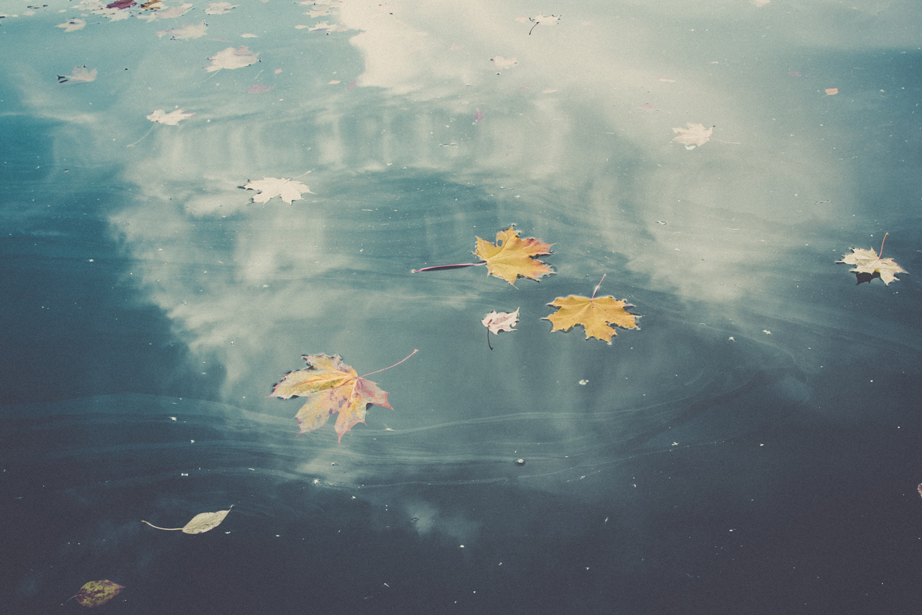Отражение текста в воде. Отражение неба в луже. Отражение в луже осень. Осеннее отражение в лужах. Небо в луже.