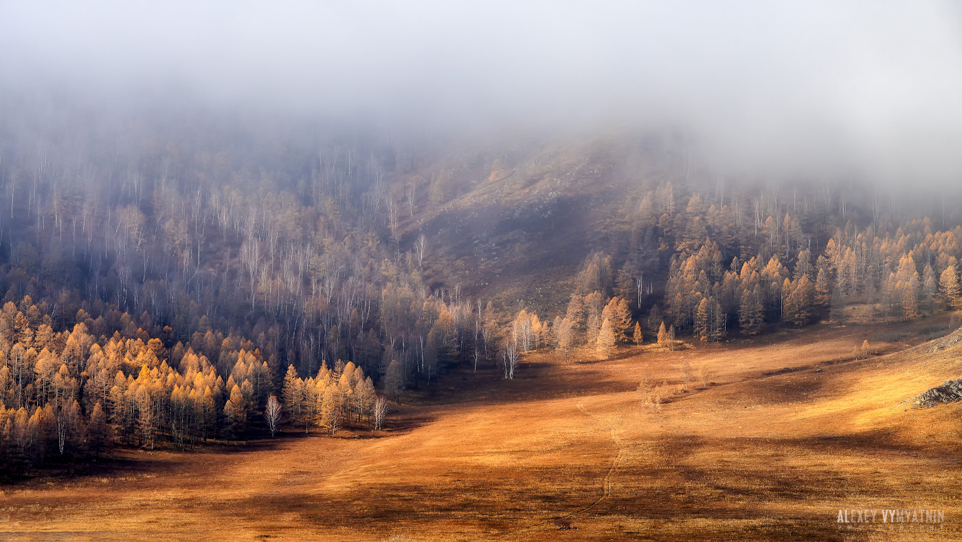 Осенний Алтай октябрь