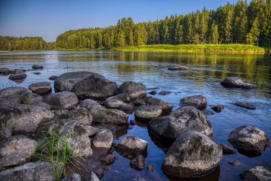 Река Шуя Петрозаводск