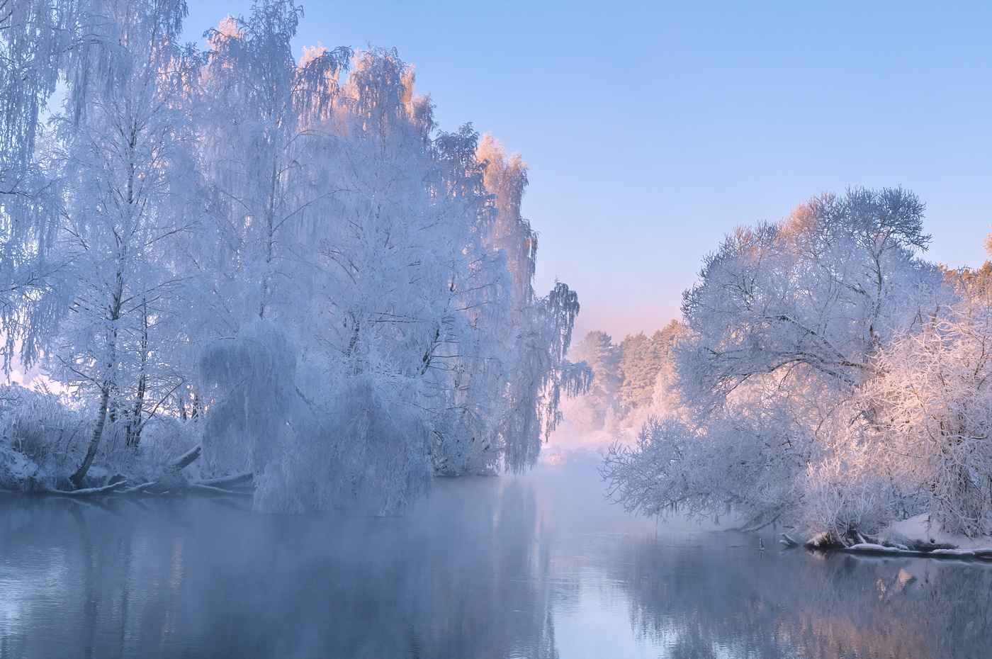 Серебристая зима. Морозный пейзаж. Зимняя стужа. Фотоконкурс зимний пейзаж.