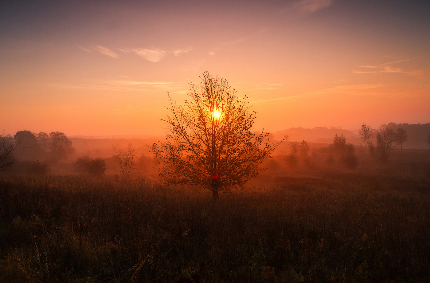 первый луч рассвета фанфик (120) фото