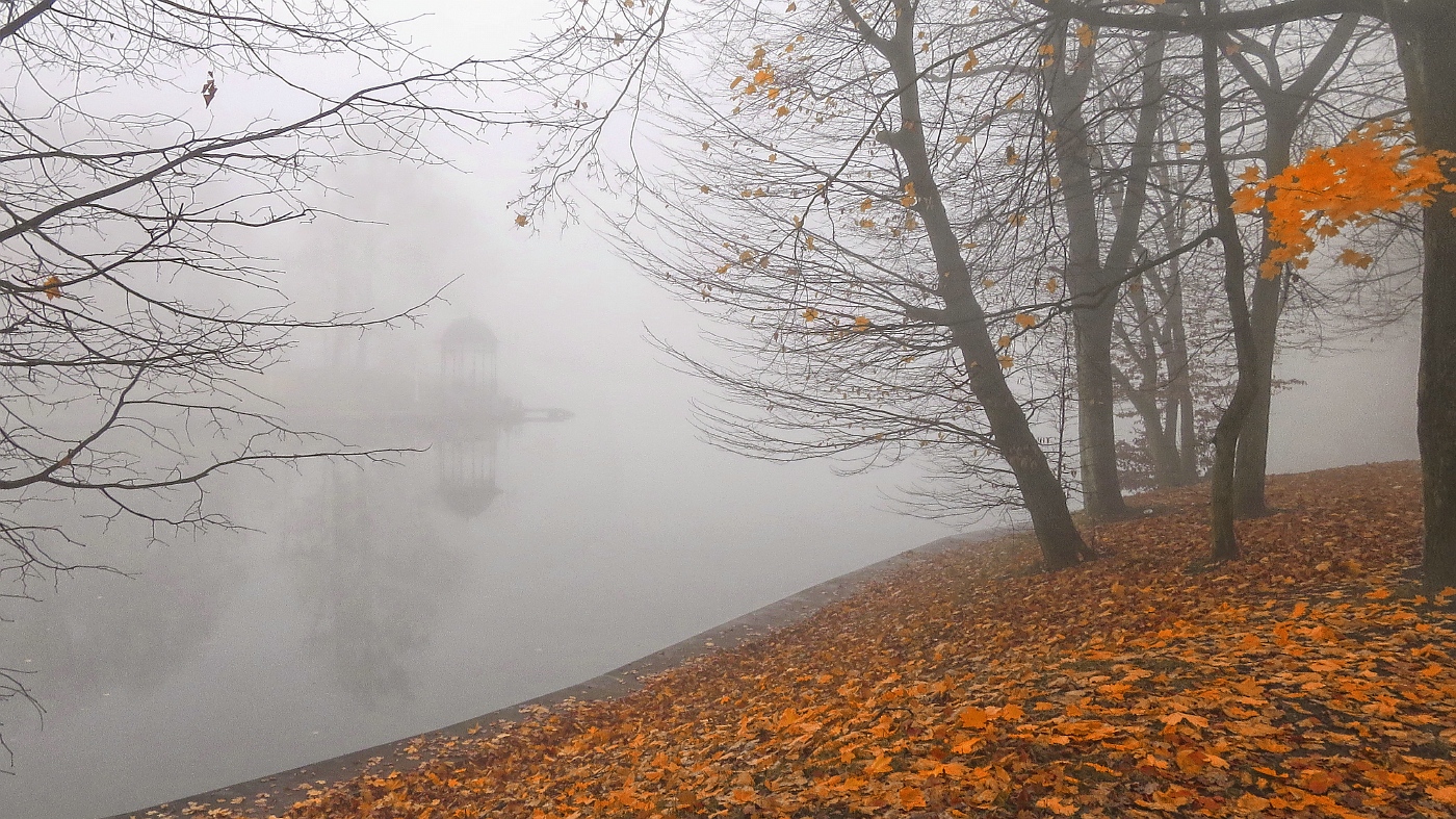 Осенний парк с озером в тумане