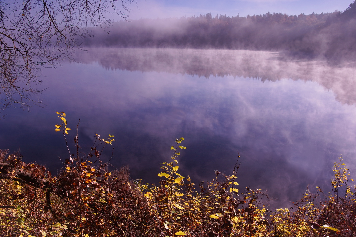 Озеро туман осень