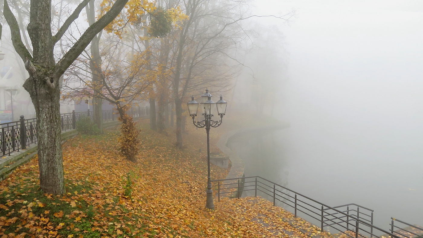 Парк в тумане