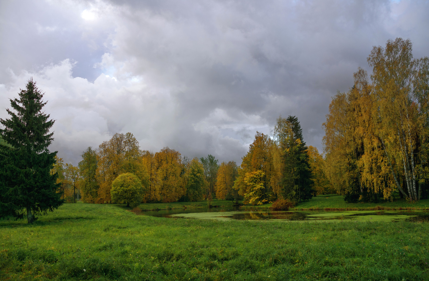 Осень в Павловском парке