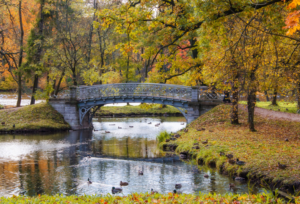 Гатчина осенью фото