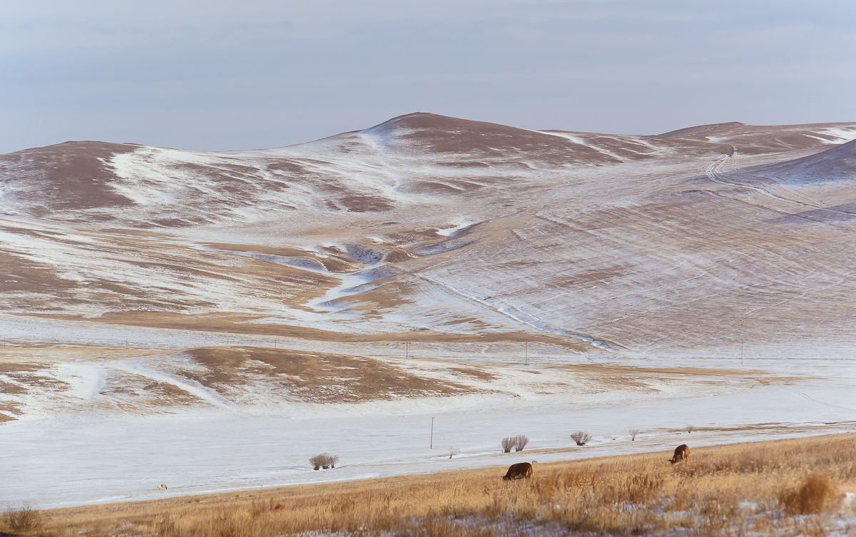 Фото дульдурга забайкальский край