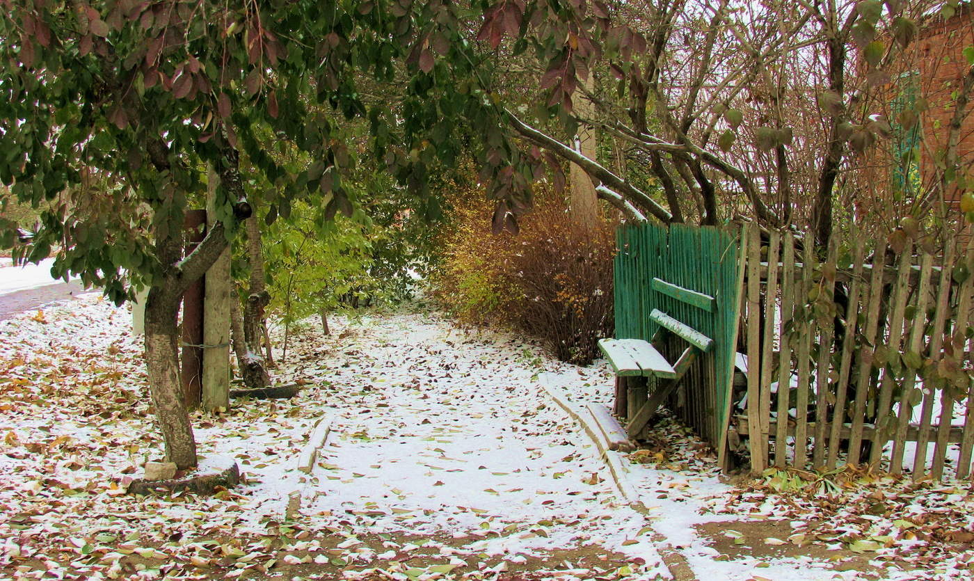 Первый снег в деревне