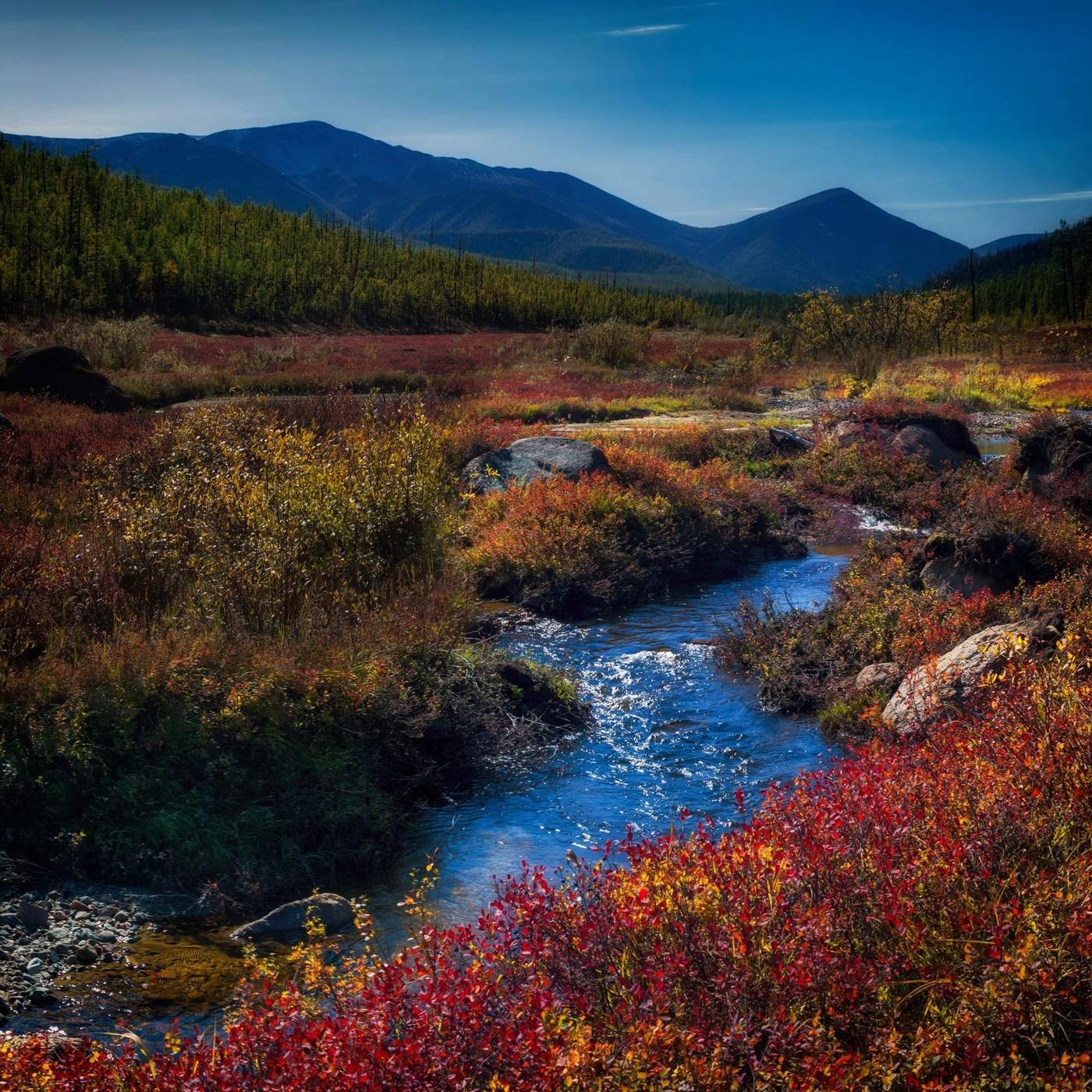 Забайкалья край