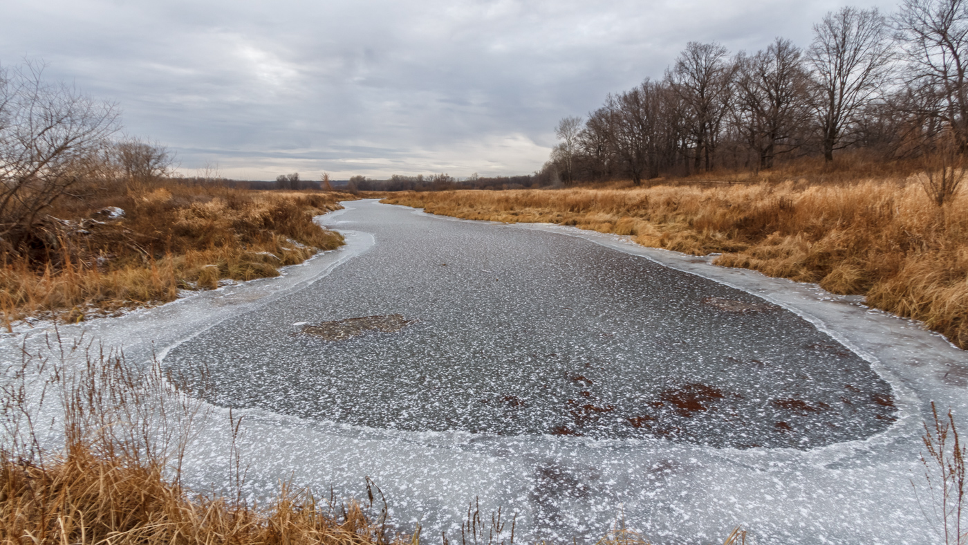 Снежная зима. Зима на подходе видео. Зима на подходе видео. Зимние картинки красивые. Снежные края земля моя.