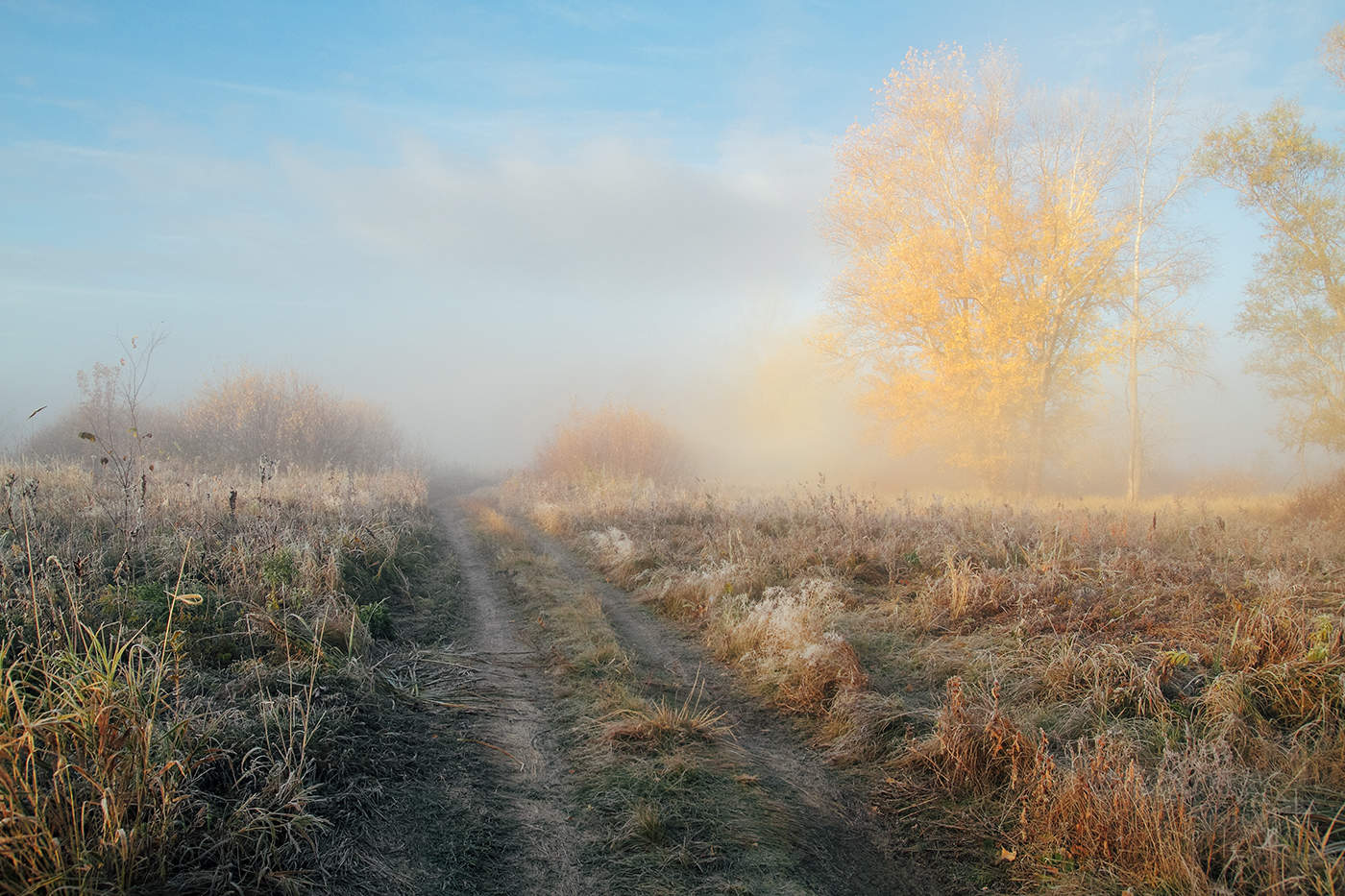 Осенний Туман Фото