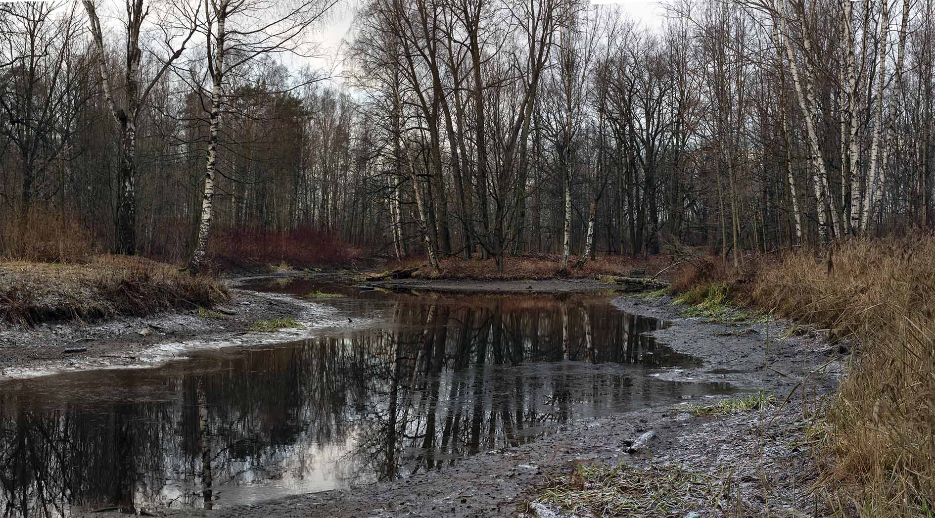 Прогноз погоды в речке. Прогноз погоды в речке. Осень речка. Манчестер река. Осень снег.